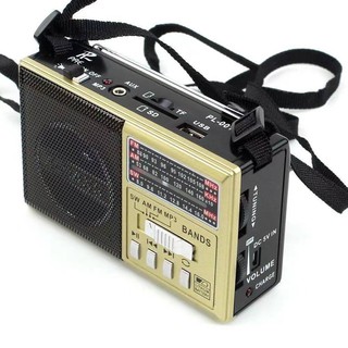 ภาพหน้าปกสินค้าPAE วิทยุ AM/FM รุ่นPL001-2U  เครื่องวิทยุAM/FM/SW วิทยุลพโพง uรับได้AM/FM/SW/USB/TF/SD CARD ที่เกี่ยวข้อง