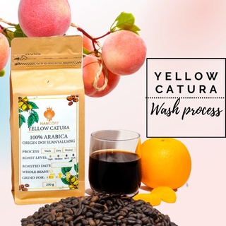 ภาพหน้าปกสินค้าNancoff yellow catura wash process เมล็ดกาแฟคั่วอาราบิก้า ซึ่งคุณอาจชอบราคาและรีวิวของสินค้านี้