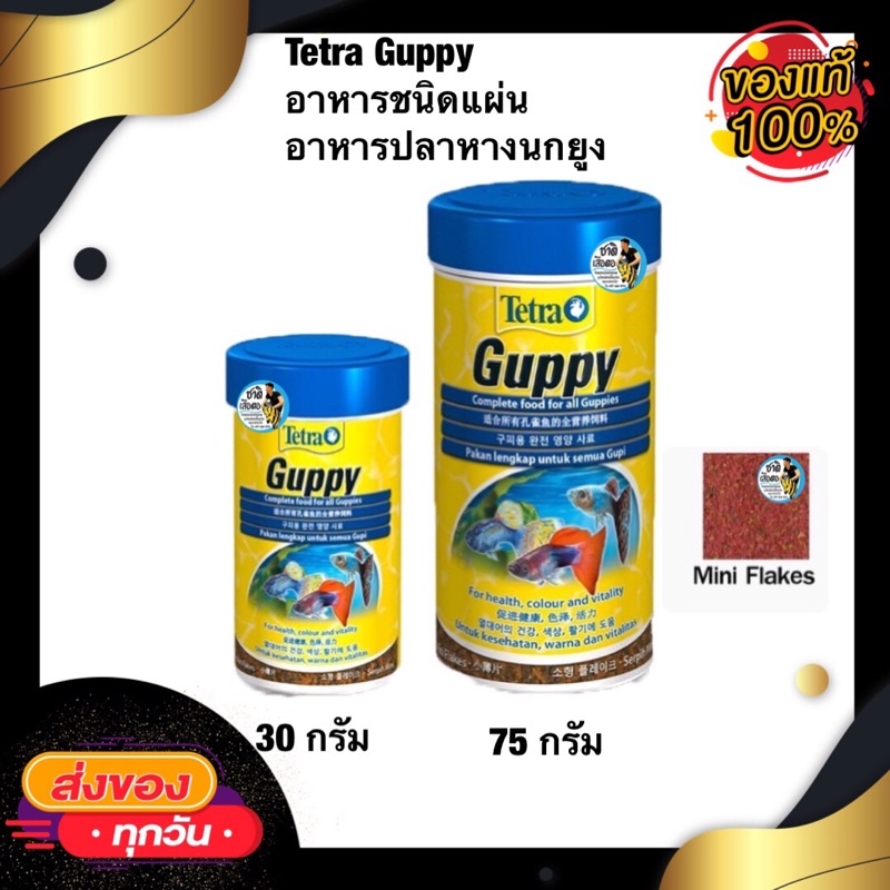 tetra-guppy-อาหารชนิดแผ่น-อาหารปลาหางนกยูง-ปลาคิลลี่-และปลาออกลูกเป็นตัว-ขนาด-30g-75g