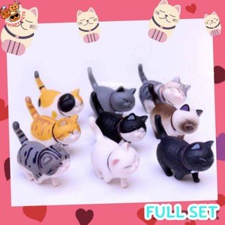 สินค้า Full Set โมเดลแมวอ้วนน่ารัก แมว โมเดล โมเดลแมว ฟิกเกอร์แมว ตุ๊กตาแมว ลูกแมว แมวกาชาปอง แมวอ้วน DC2-F