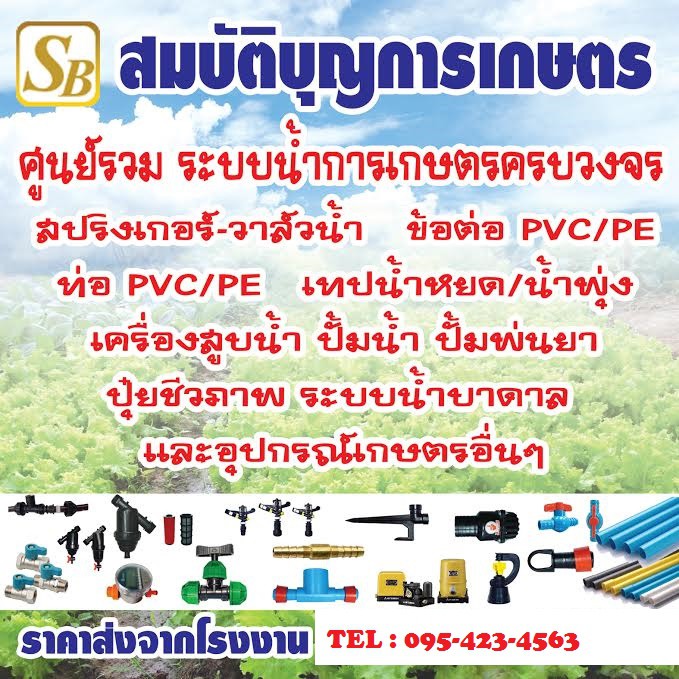 ภาพหน้าปกสินค้าข้อต่อพีวีซี PVC ข้อต่อตรง ข้อต่อตรงเกลียวใน/เกลียวนอก สามทาง สาม/สี่ทางฉาก สามทางY สี่ทางฉาก สปริงเกอร์... จากร้าน sombatfugun บน Shopee