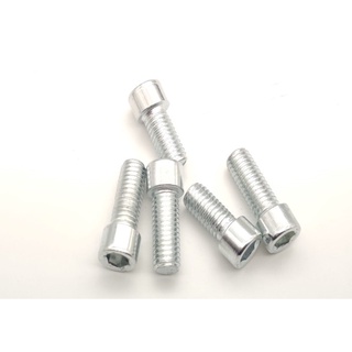 (1-270) สกรูหัวจมหกเหลี่ยมชุบ Galvanized Screw M6x10 / ชิ้น