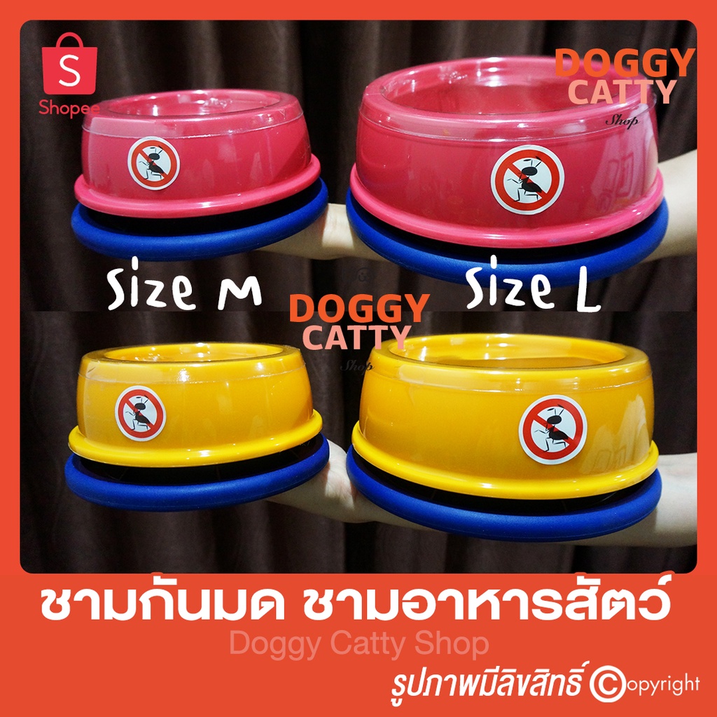 ชามกันมด-กันมด-no-ant-pet-bowl-ชามอาหารสุนัข-ชามอาหารแมว