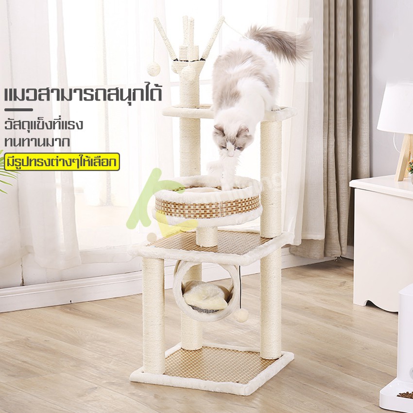 cat-condo-ที่นอนแมว-ที่ข่วนแมว-ที่ลับเล็บแมว-คอนโดแมวกำมะหยี่-ที่แมวเล่น