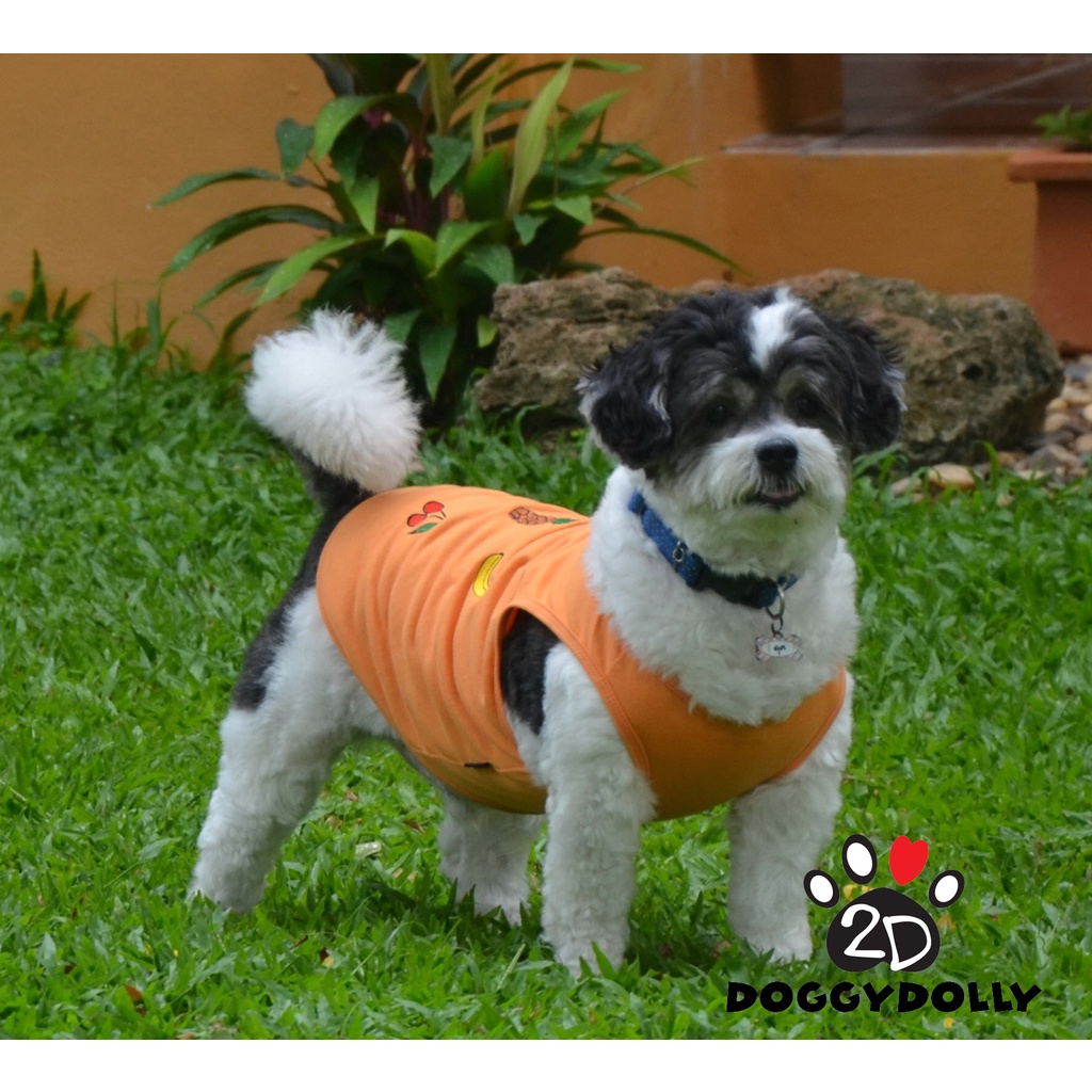 pet-clothes-doggydolly-เสื้อผ้าแฟชั่น-เสื้อผ้าสัตว์เลี้ยง-เสื้อผ้าหมาแมว-เสื้อยืด-at4