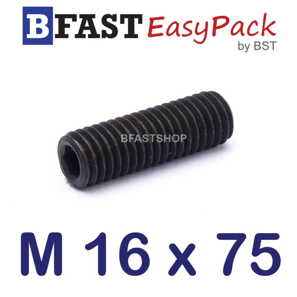 สกรูตัวหนอนดำ-m-16-x-75