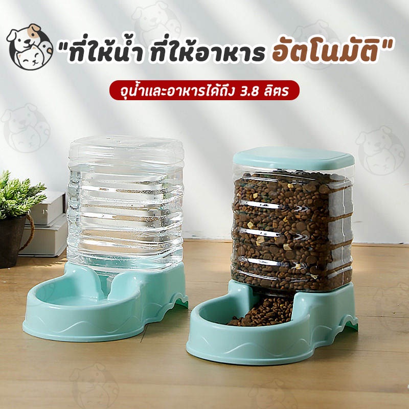 เครื่องให้อาหารแมวอัตโนมัติ ถ้วยอาหารแมว