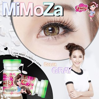 Mimoza Gray สีเทา ทรีโทน บิ๊กอาย เทา เปล่งประกายสวยงามมาก ☘️ Pretty Doll Contact Lens Bigeyes คอนแทคเลนส์ ค่าสายตา สายตา