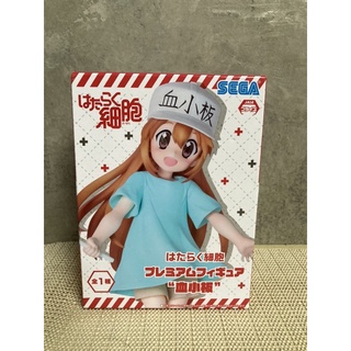 เกล็ดเลือด Platelet เซลล์ขยันพันเดือด Hataraku Saibou Cells at Work!  Hataraku Saibou - Platelet - PM Figure (SEGA)