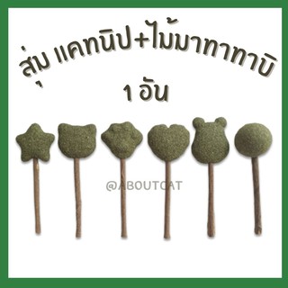 สินค้า [ABC cat] แคทนิป ไม้มาทาทาบิ ขัดฟันแมว แมวฟิน แคทนิปบอล แคทนิปแมวฟิน ของเล่นแมว ของเล่นสัตว์เลี้ยง