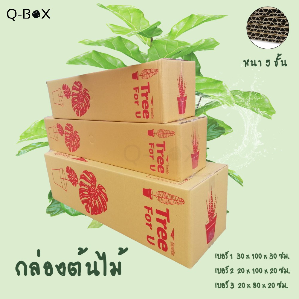 กล่องไปรษณีย์ต้นไม้-แบบยาว-หนา-5-ชั้น-จำนวน-5-ใบ-ส่งฟรีทั่วประเทศ