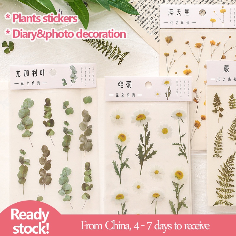 Plants Stickers Adhesive DIY scrapbooking stickers Translucent Diary ...