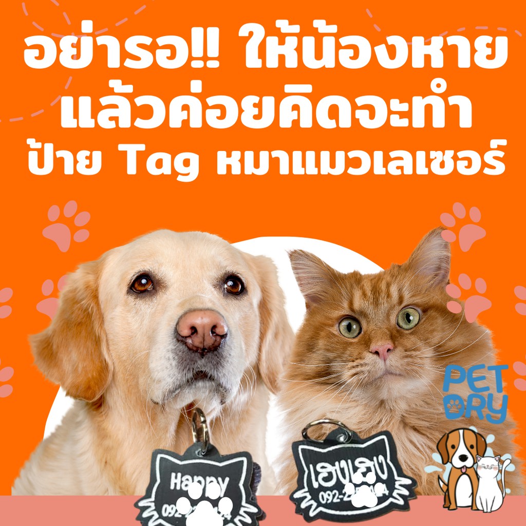 pet-tag-อะคริลิค-รายได้ให้แมวจร-อคิลิก-ป้ายชื่อน้องแมว-น้องหมาราคาถูก