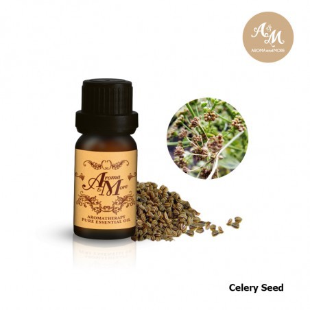 aroma-amp-more-celery-seed-essential-oil-100-น้ำมันหอมระเหยเมล็ดเซเลอรี่-ขึ้นฉ่ายฝรั่ง-100-india-5-10-30ml