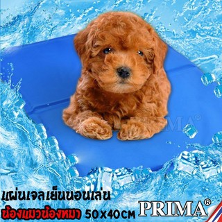 Pet cool mat แผ่นเจลรองนอนหมา แผ่นเจลเย็นสุนัข ที่นอนเจลเย็นสำหรับสุนัข (Size M 40*50 cm)สามารถเช็ดทำความสะอาดได้เมื่อสก