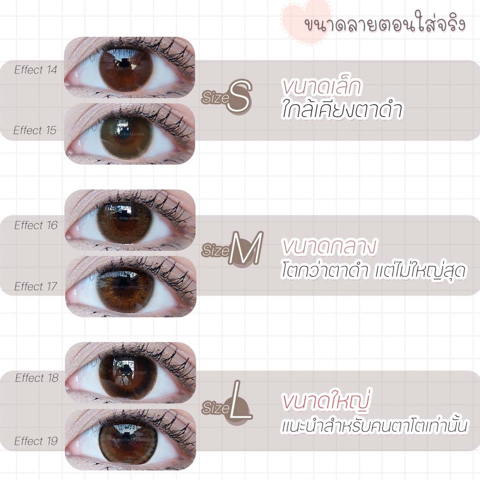 lr-almond-ค่าสายตา-0-00-6-00-คอนแทคเลนส์