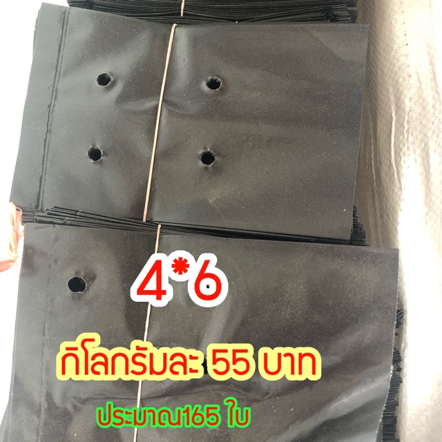 ถุงเพาะชำขนาด-4-6-ประมาณ165-ใบ-ราคากิโลกรัมละ-55-บาท