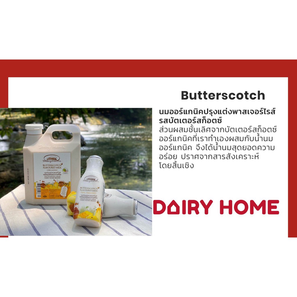 นมแดรี่โฮมรสบัตเตอร์สก็อตซ์-butterscotch-flavoured-milk-1-200-cc-คละรสได้-สินค้าเฉพาะในเขตกรุงเทพ