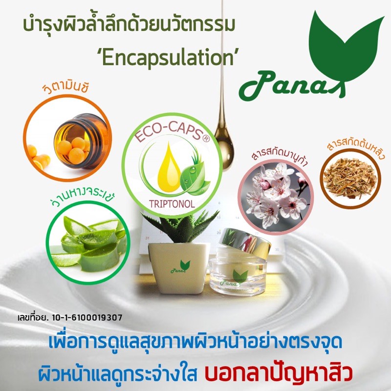 ดีที่สุด-ครีมลดสิว-pana-perfect-anti-acne-cream