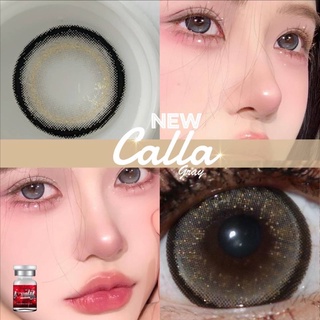 New ✨ Calla gray(Lovely lens) ขนาดBig ตาโต (บิ๊กอาย คอนแทคเลนส์ bigeyes)