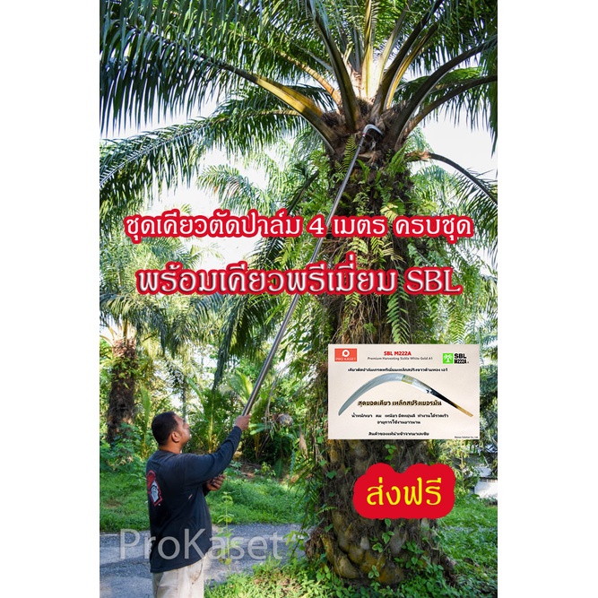 ชุดเคียวเกี่ยวปาล์ม-ตัดปาล์ม-ขนาดความยาว-4-เมตร-2-2-เมตร-ครบชุด-เคียวทอง-sbl-พร้อมด้าม-ชุดด้ามเคียว-ด้ามสไลด์