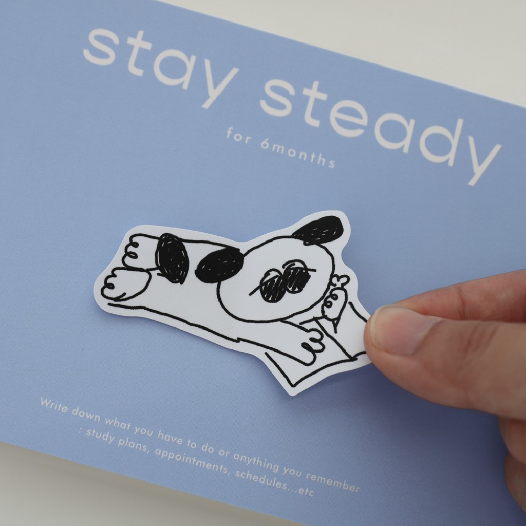 beond-stay-steady-6-month-planner