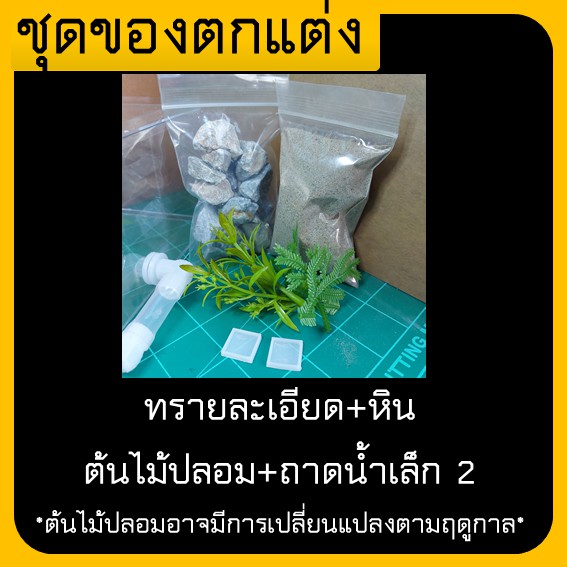 รังมด-model-21-ant-nest-รูทางออกขนาด8mm