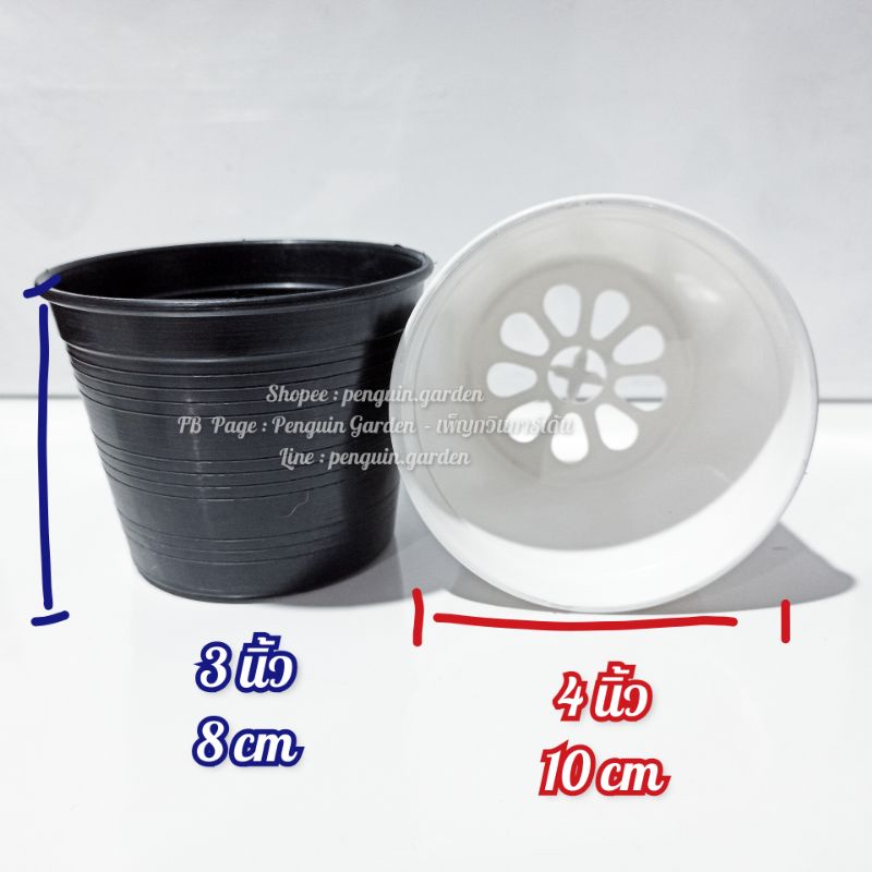 ภาพหน้าปกสินค้ากระถางกลมดำ 4 นิ้ว กระถางพลาสติก ดำ กลม กระถางกระบองเพชร กระถางแคตตัส กระถาง จากร้าน penguin.garden บน Shopee