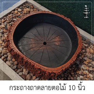 กระถางปูนถาดลายตอไม้ 10 นิ้ว สวนถาด เจาะรูตรงกลาง