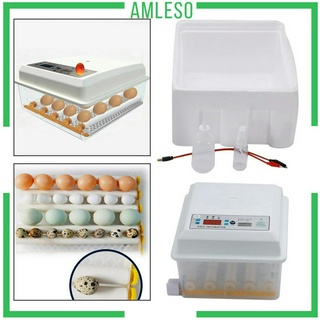 ( Amleso ) เครื่องฟักไข่อัตโนมัติ 16 / 36 สําหรับไก่