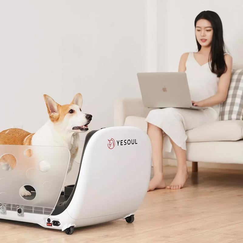 Yesoul 犬 犬用ランニングマシン スポーツ別 YESOUL 犬 猫 ペット用