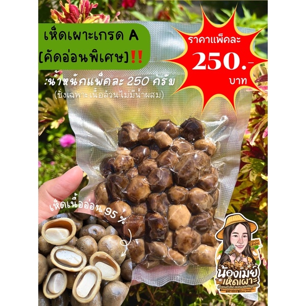 ภาพหน้าปกสินค้าเห็ดเผาะคัดอ่อน-เห็ดหนัง100% จากร้าน mavikakeawmavaeng บน Shopee