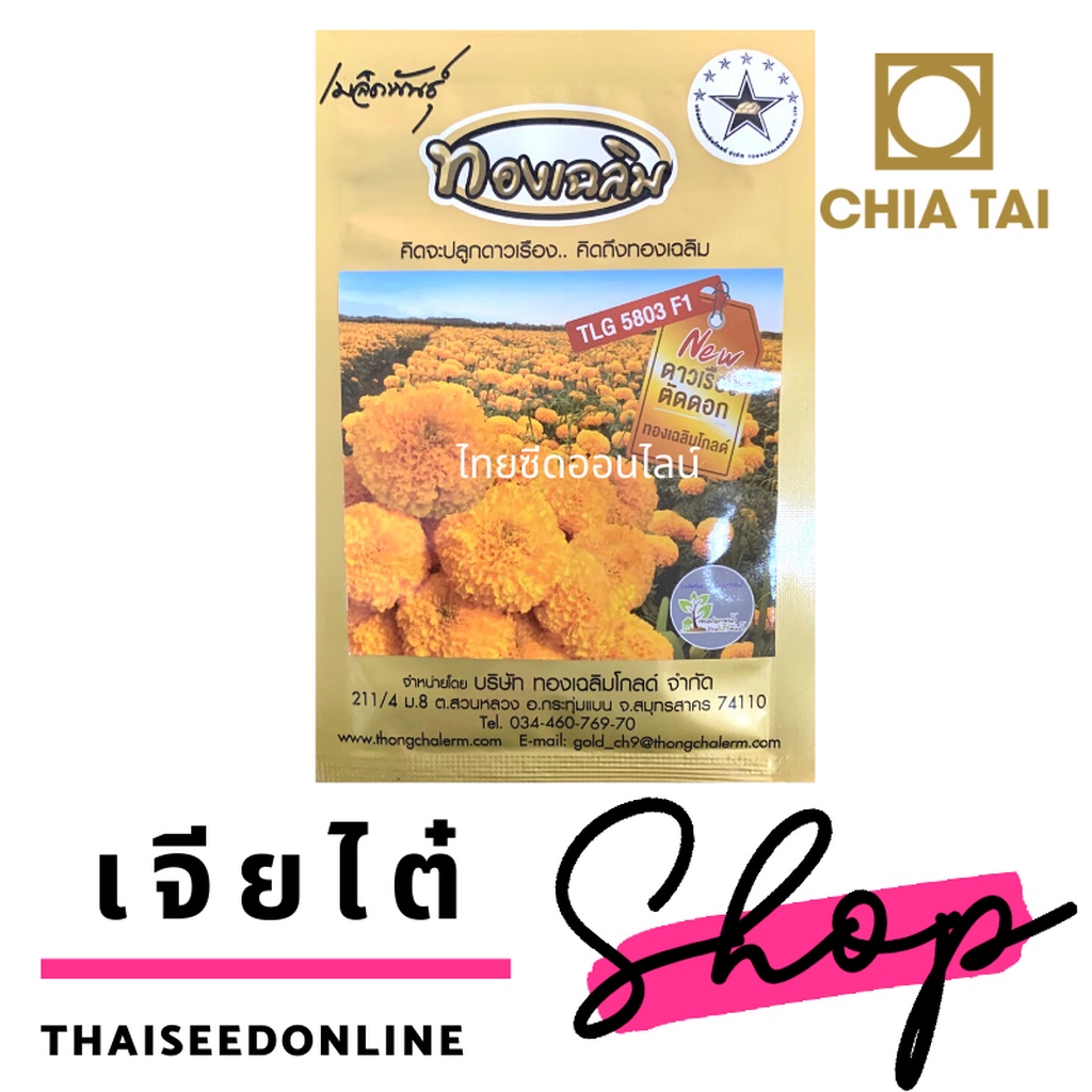 ภาพสินค้าเมล็ดพันธุ์ ดาวเรืองตัดดอก ดาวเรืองทองเฉลิม 5803 500 เมล็ด Marigold Thongchalerm 5803 500Seeds จากร้าน thaiseedonline บน Shopee ภาพที่ 1