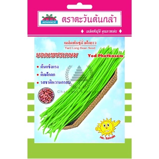 เมล็ดพันธ์ุ ถั่วฝักยาว ยอดเพชรเกษม บรรจุ 8 กรัม/ซอง ตราตะวันต้นกล้า