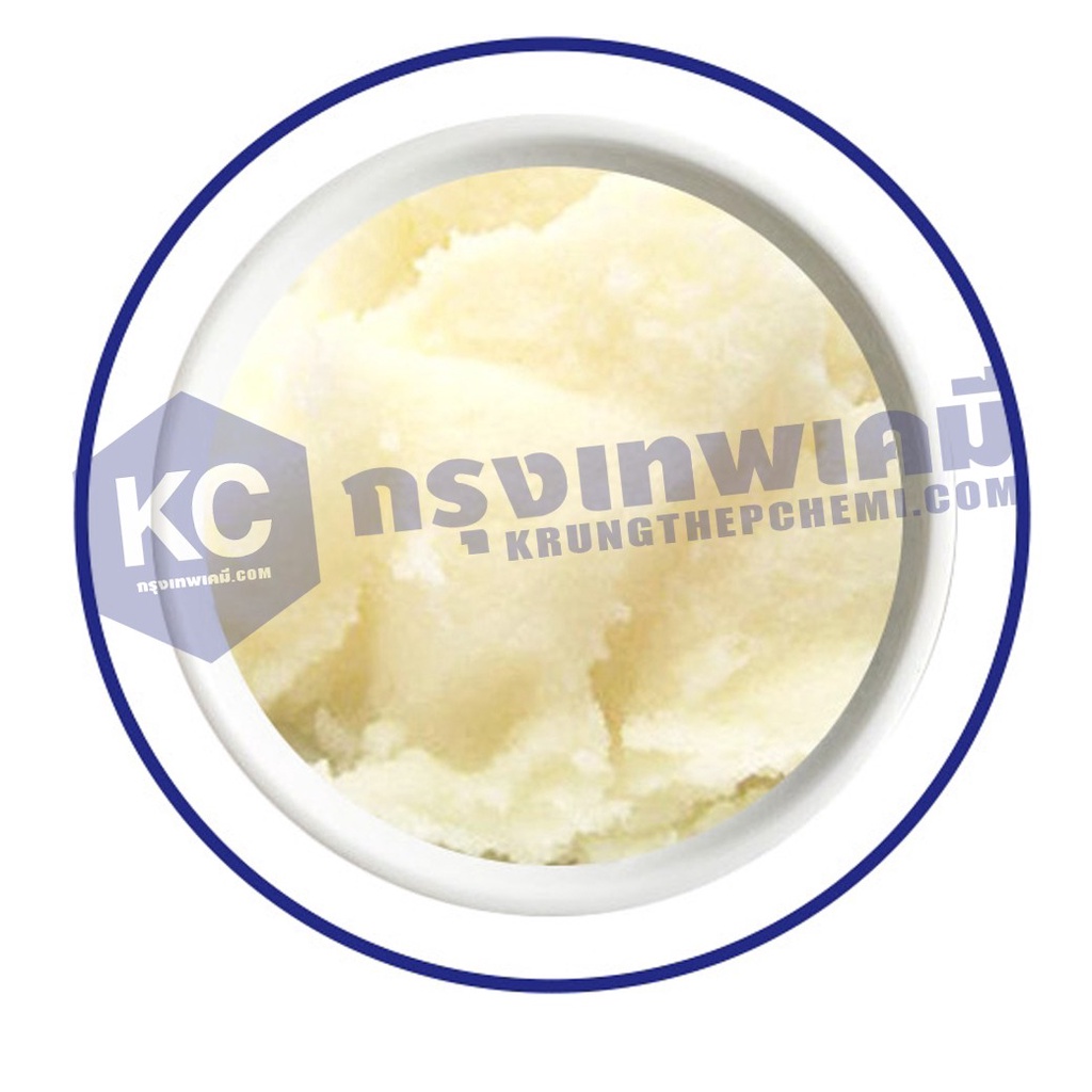 ภาพหน้าปกสินค้าC026SB-100G Shea Butter (Cetiol SB45) (Germany) : เชียร์บัตเตอร์ (เยอรมัน) 100 กรัม จากร้าน krungthepchemi บน Shopee