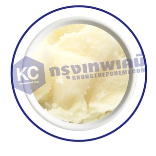 ภาพขนาดย่อของภาพหน้าปกสินค้าC026SB-100G Shea Butter (Cetiol SB45) (Germany) : เชียร์บัตเตอร์ (เยอรมัน) 100 กรัม จากร้าน krungthepchemi บน Shopee