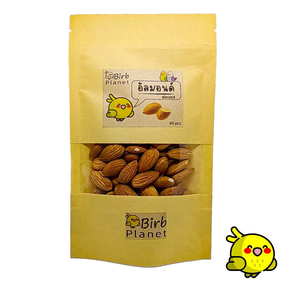 อัลมอนด์อบ-ไม่โรยเกลือ-ขนมนก-อาหารนก-เพิ่มไขมัน-birb-planet-almond-seed-for-parrots