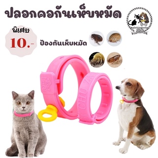 ภาพหน้าปกสินค้า🐶😻ปลอกคอกันหมัดเห็บ แมลง ยุง ปรับไชส์ได้ สำหรับสุนัขพันเล็กราคาเส้นละ10บาท มีชำระปลายทางค่าส่ง22 บาทมีชำระปลายทาง ที่เกี่ยวข้อง