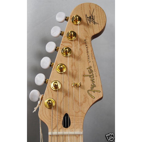 โลโก้หัวกีตาร์-fender-stratocaster-richie-kotzen-signature