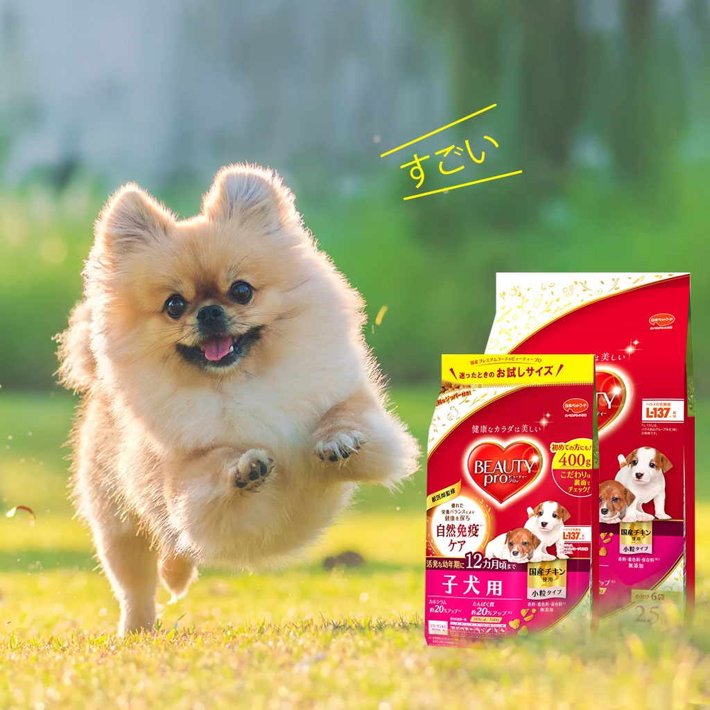 beauty-pro-dog-puppy-อาหารสูตรลูกสุนัข-อาหารสุนัขนำเข้าจากประเทศญี่ปุ่น100-สำหรับสุนัขทุกสายพันธ์ุ