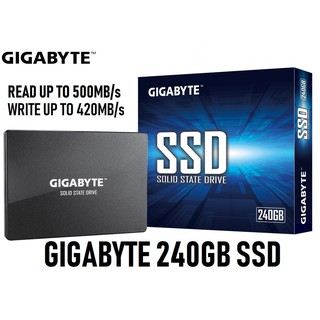 240 GB SSD (เอสเอสดี) GIGABYTE (GP-GSTFS31240GNTD) Warranty 3 - Y