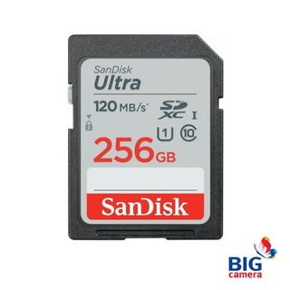 SanDisk Ultra SDXC SDSDUNC4 256GB 120MB/s R C10 (SDSDUN4-256G-GN6IN)