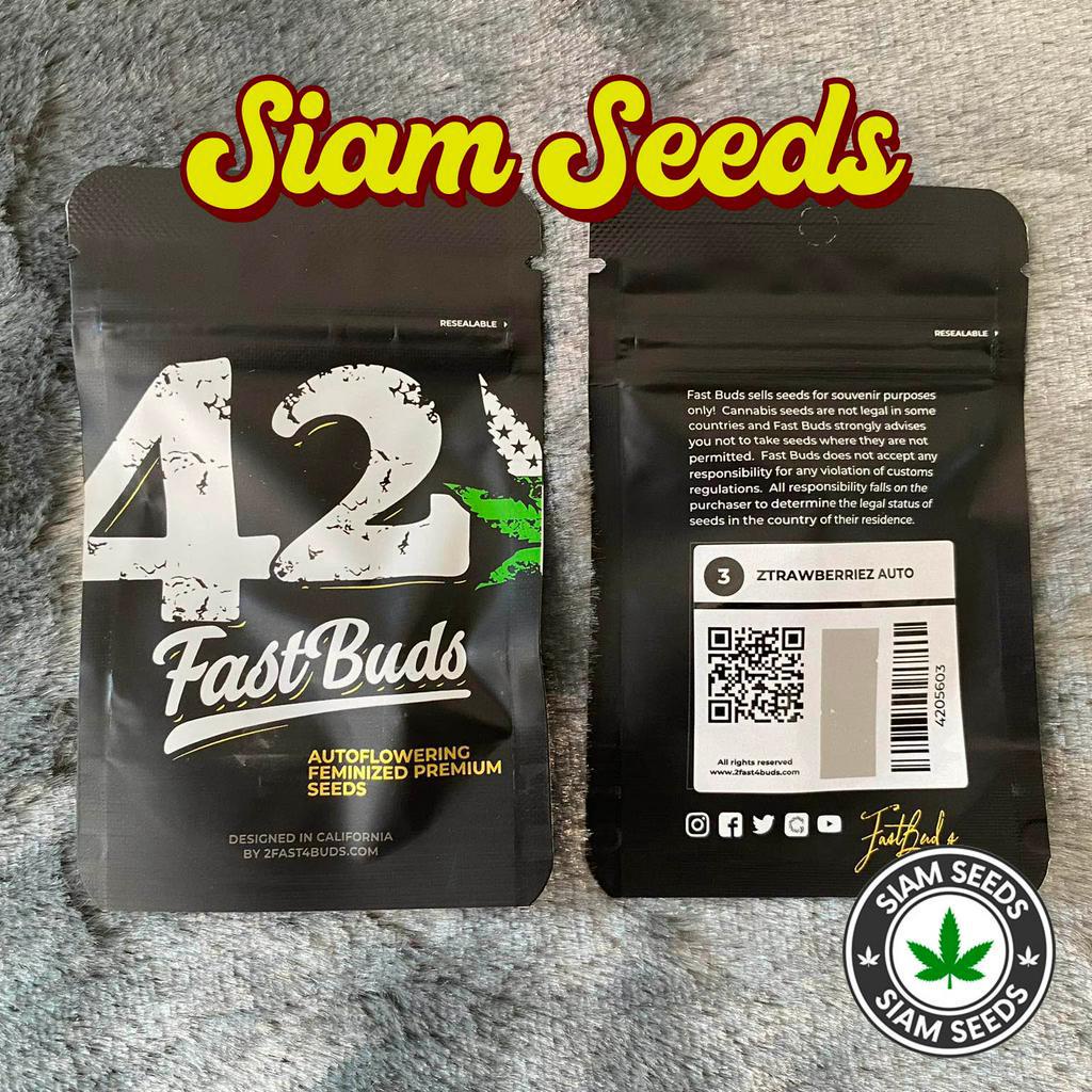 เมล็ดกัญชา Fastbuds Ztrawberriez Auto Cannabis Seeds (Pack Of 3 ...