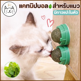 ภาพหน้าปกสินค้าKUMA まแคทนิปบอล กัญชาแมว แคทนิปแมวเลีย บอลแมวเลีย catnip ball ขนมแมวเลีย Ball Herb แปะกำแพง กัญชาแมวเลีย สมุนไพรแมวเลีย ที่เกี่ยวข้อง