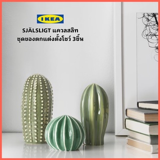 IKEA SJÄLSLIGT แควลสลิท ชุดของตกแต่ง 3 ชิ้น ต้นแคนตัส ต้นตะบองเพชร สินค้าขายดี สินค้ายอดฮิต