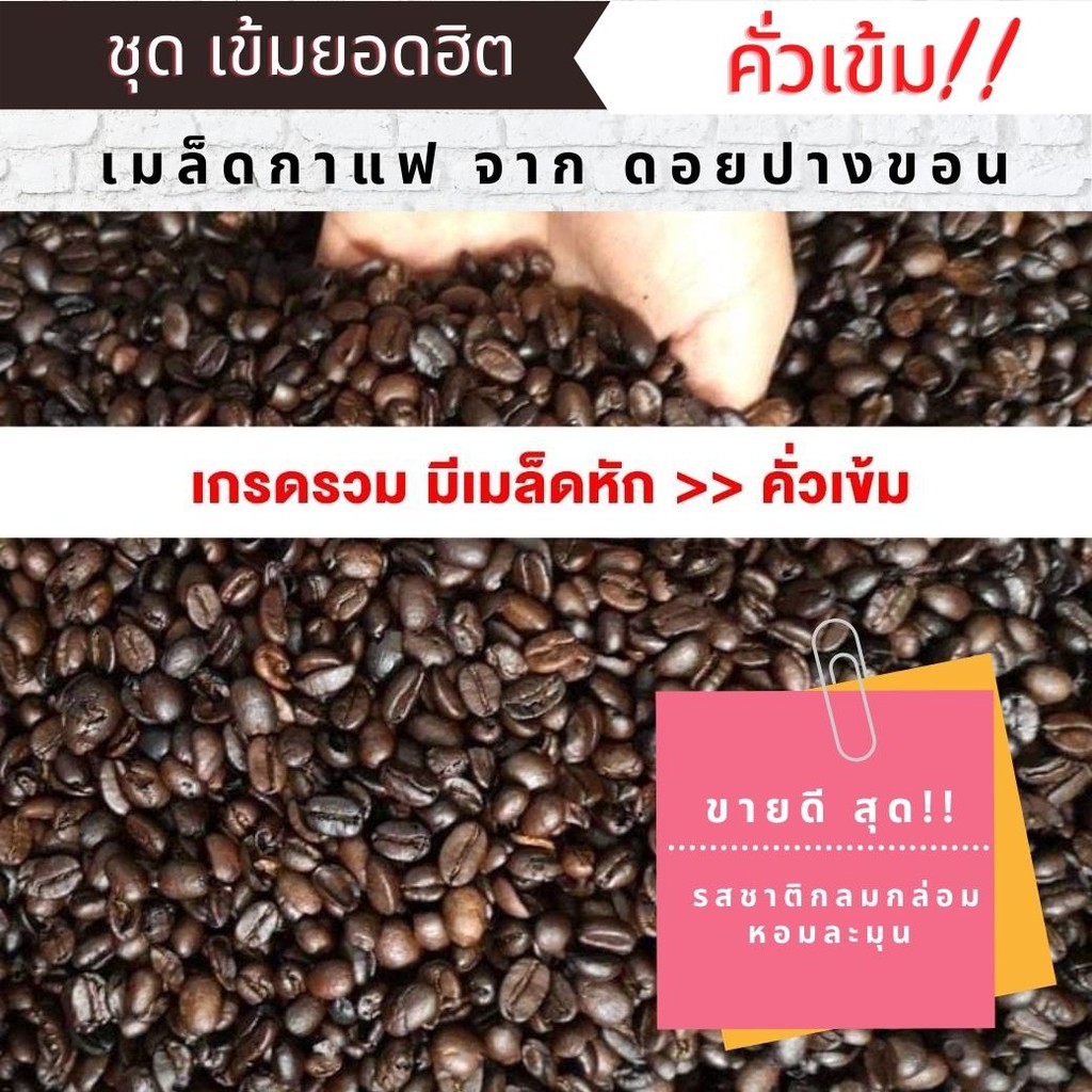 เมล็ดกาแฟ-เมล็ดกาแฟคั่ว-อาราบิก้าแท้-100-จาก-ดอยปางขอน-คั่วสดใหม่ทุกวัน-กินทุกวัน-ก็คั่วทุกวัน