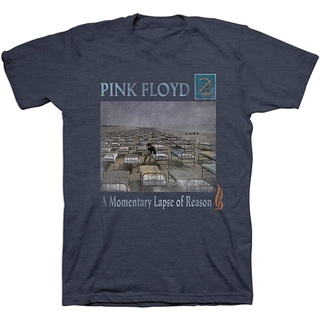 เสื้อยืด พิมพ์ลายอัลบั้ม Pink Floyd สไตล์วินเทจ สําหรับผู้ชาย