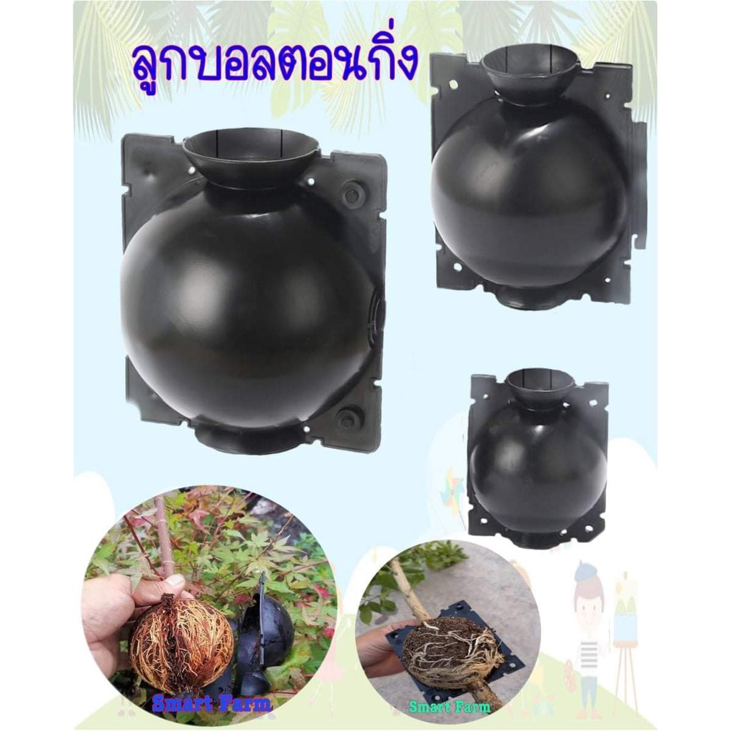 ภาพหน้าปกสินค้า(10ชิ้น) ลูกบอลตอนกิ่ง อุปกรณ์ตอนกิ่ง อุปกรณ์ ตอนกิ่ง smart farm จากร้าน chanthaphat27 บน Shopee