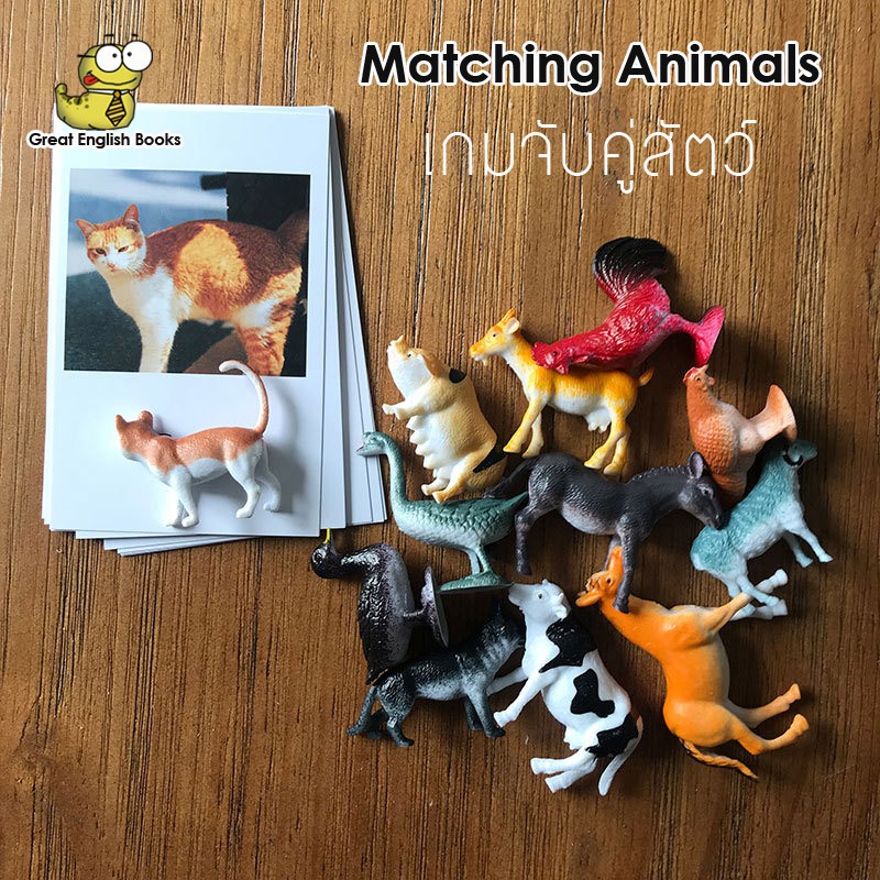 เกมจับคู่สัตว์-matching-animals-การ์ดภาพสัตว์-12-ใบ-โมเดลสัตว์-12-ตัว