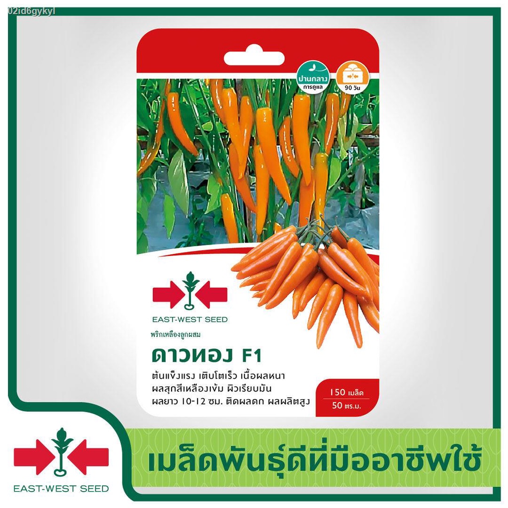 east-west-seed-เมล็ดพันธุ์พริก-hot-pepper-seeds-ดาวทอง-f1-เมล็ดพันธุ์ผัก-เมล็ดพันธุ์-ผักสวนครัว-เมล็ดพันธุ์พริกเหลือง